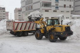 Bitlis'te Karlar Kamyonlarla Şehir Dışına Taşınıyor