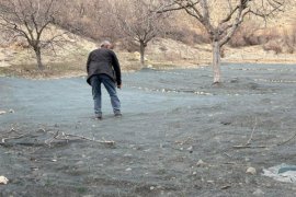 Bitlis’te Yılda 6 Bin 730 Ton Kabuklu Ceviz Üretiliyor