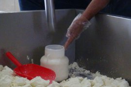 Bitlisli Girişimci Devlet Desteğiyle Peynir Fabrikası Kuruyor