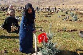 Bitlis’te fidan dikimine büyük katılım