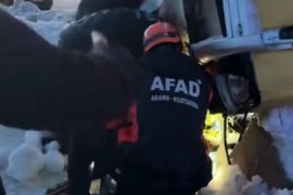 Bitlis'te İki Tır Devrildi ve Büyükbaş Hayvanlar Öldü