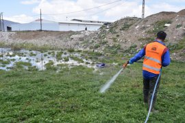 Tatvan Belediyesi larva üreme yerlerini ilaçlıyor