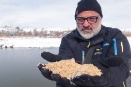 Aktivistler Kuşlar İçin Doğaya Yem Bıraktı