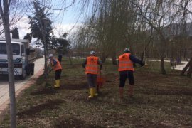 Tatvan’daki park, bahçe ve orta refüjlerde ağaç budama ve çimlendirme çalışması başlatıldı