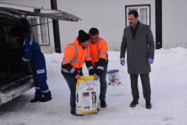 Tatvan’daki hayvanlar için doğaya 1000 kilogram yem bırakıldı