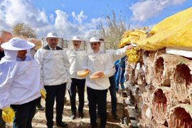 Coğrafi İşaretli Bitlis Balında Hasat Sevinci Yaşandı
