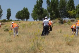 Van Gölü’nün Tatvan sahilinde çöp toplama kampanyası