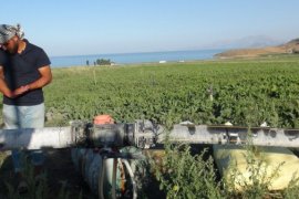 Tatvan’daki Çiftçiler Mini Sprink Fıskiye Sistemi’nden Faydalanılıyor