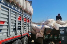 Bitlis Tarım Müdürlüğü Ekipleri Afet Bölgesindeki Çalışmalarını Sürdürüyor