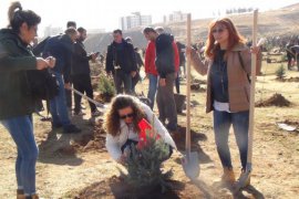 Bitlis’te fidan dikimine büyük katılım