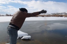 Aktivistler Kuşlar İçin Doğaya Yem Bıraktı