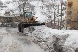 Bitlis’te bin kamyon kar şehir dışına taşındı