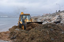 Tatvan sahilde temizlik çalışmaları