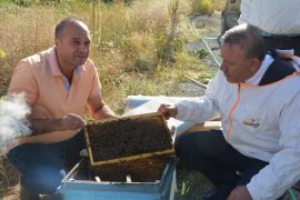 BEÜ’de Arı ve Bal Üretimi Geliştirilirken, Uluslararası Standartta Bal Analizi Yapılıyor