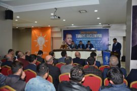 Tatvan’da AK Parti Gençlik Kolları Kongresi yapıldı