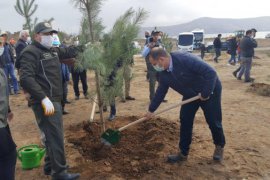 Tatvan’da 500 Adet Fidan Toprak ile Buluştu