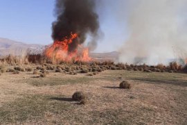 Tatvan’da Sazlık Alanda Çıkan Yangına Erken Müdahale