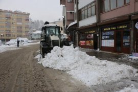 Bitlis’te Karla Mücadele Çalışmaları