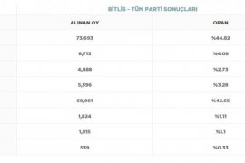 Bitlis’te 24 Haziran Seçim Sonuçları