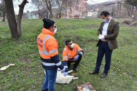 Tatvan’daki sokak hayvanları için doğaya yem bırakıldı