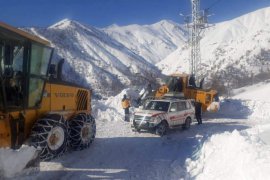 Bitlis'te 106 Köy Yolu Ulaşıma Kapalı