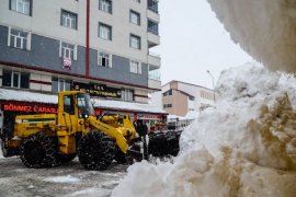 Bitlis’teki karlar kamyonlarla taşınıyor