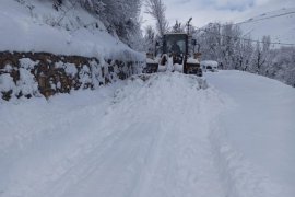 Bitlis’te karla mücadele çalışmaları