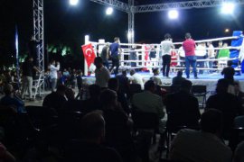 Bitlis’te “Uluslararası Muay Thai Galası” Düzenlendi