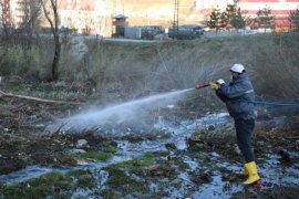 Bitlis Belediyesi Lavra Üreme Noktalarını İlaçlama Çalışmaları Yapıyor