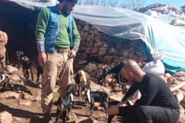 Bitlis Tarım Müdürlüğü Ekipleri Afet Bölgesindeki Çalışmalarını Sürdürüyor