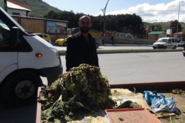 Yayla Muzu Tatvan’daki Tezgahlarda Yerini Aldı