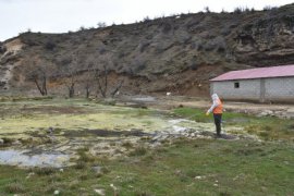 Tatvan’da Park ve Yeşil Alanlarda Lavra İlaçlama Çalışmaları Başladı