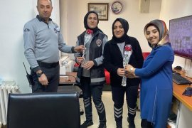 Bitlis'teki Kadın Sağlık Çalışanlarının Günü Kutlandı