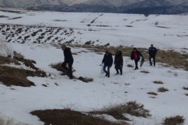 Yabani Hayvanlar ve Kuşlar İçin Doğaya Yiyecek Bırakıldı