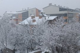 Tatvan’da Kar Yağışı Etkili Oldu
