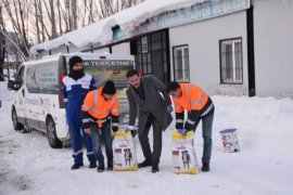 Tatvan’daki hayvanlar için doğaya 1000 kilogram yem bırakıldı