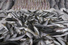 Tatvanlılar Evde Balık Kızartma Sorununa Çözüm Buldu