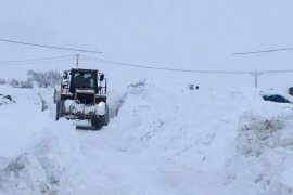 Bitlis İl Özel İdaresi’nin karla mücadele çalışmaları