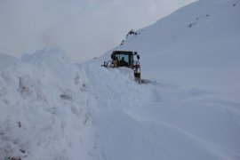 Bitlis kara gömüldü