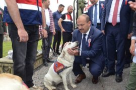 Bitlis'te, Jandarma Teşkilatı Kuruluşunun 179. yıl dönümü düzenlenen törenle kutlandı