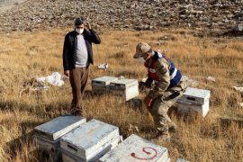 Bitlis’te Küçükbaş ve Arı Kovanı Çalan 4 Şüpheli Yakalandı