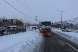 Bitlis Belediyesi'nin karla mücadele çalışmaları