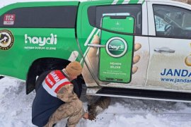 Bitlis'te Doğaya Yiyecek ve Yem Bırakıldı