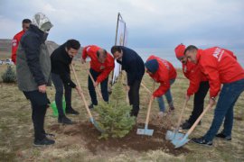 Tatvan’da 500 Adet Fidan Ekimi Gerçekleştirildi