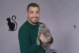 Tatvan’da Kedi Pansiyonu açıldı