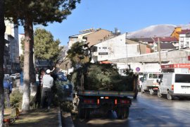 Tatvan’da Park ve Bahçelerden Ağaç Budama Çalışmaları