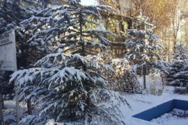 Bitlis’e yılın ilk karı yağdı