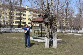 Tatvan’da Park ve Bahçelerde Temizlik ve Budama Çalışmaları Devam Ediyor