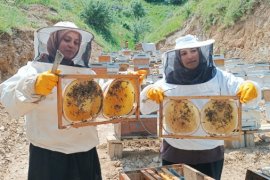 Bitlisli Kadınlar 7 Kovanla Başladıkları Arıcılıkta 100 Kovana Ulaştı