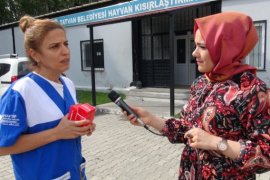 HAYTAP ile İmuneksfarma Bitlis’teki sokak hayvanları için ilaç gönderdi